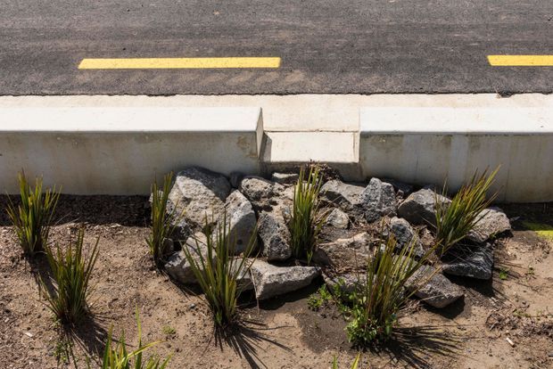 A close-up exterior streetscape detail showing a planted roadside garden bed with ornamental grasses and small shrubs among irregular grey rocks, bordered by a concrete kerb and drainage channel beside dark asphalt marked with yellow road lines.