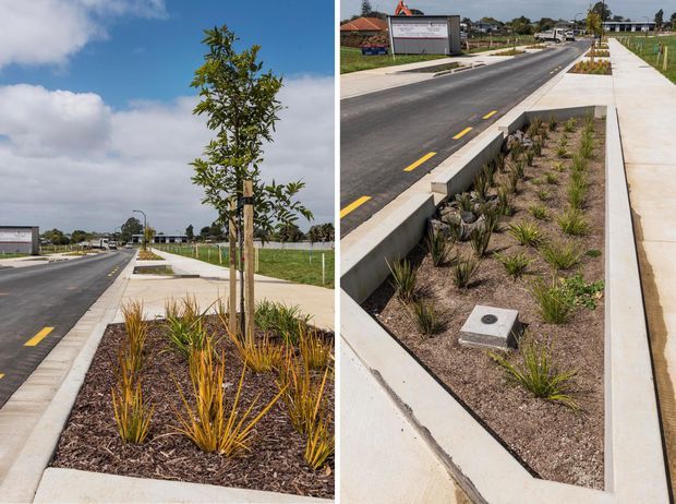 A split-view photograph of a newly constructed suburban streetscape, showing a paved road with yellow lane markings, broad concrete footpaths, landscaped roadside planting beds, young street trees, and low concrete drainage or retaining channels. The setting appears contemporary and recently developed, with detached homes and open grassy lots in the background.