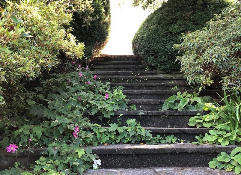 Clive: an enchanted garden