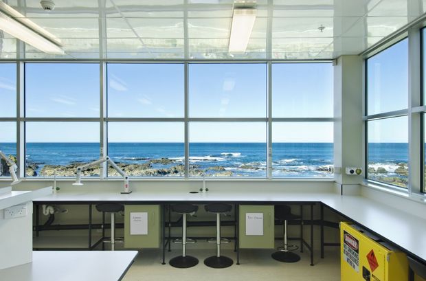 Bright contemporary laboratory or educational science workspace with long white benchtops, sinks, stools, and fixed cabinetry arranged along expansive floor-to-ceiling glazing. The room overlooks a rocky ocean shoreline, while a mirrored or highly reflective ceiling amplifies the sense of openness. A yellow hazardous-waste container is visible in the foreground.