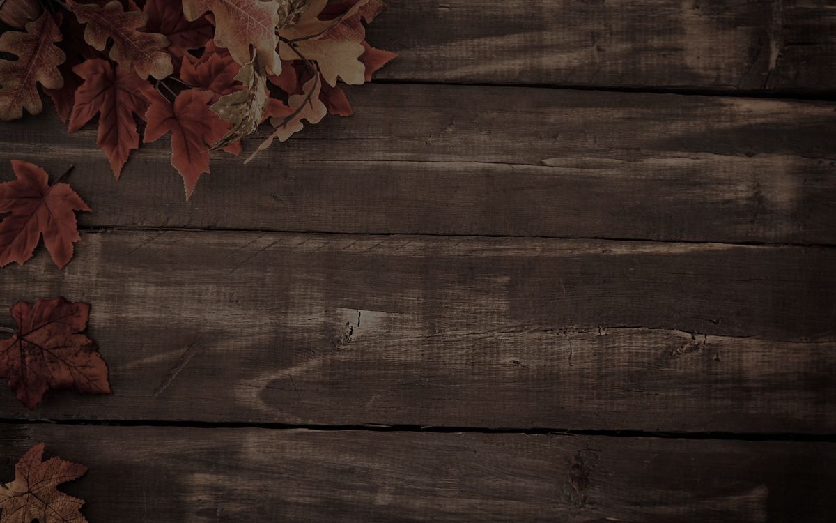 Hero Banner for Commercial Joinery