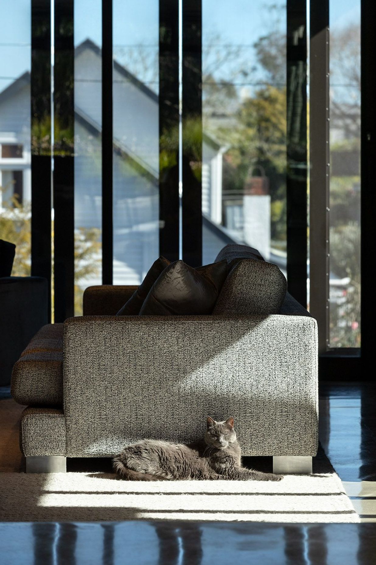 The ultimate modernity of this home contrasts with the otherwise traditional vernacular of the streetscape.