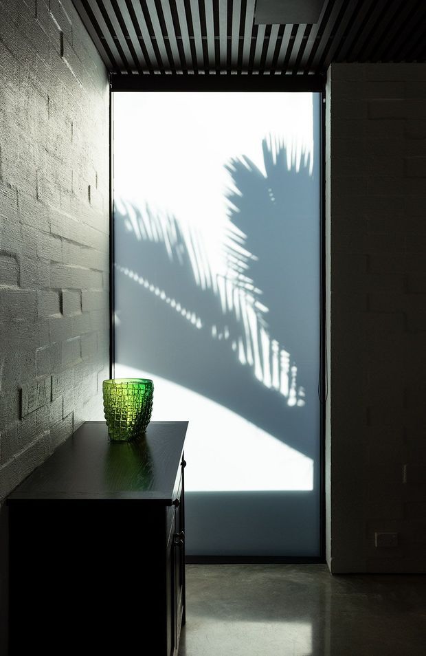 Moody architectural interior detail showing a narrow passage or entry area with rough painted masonry block walls, a dark slatted ceiling, and a large translucent glazed or polycarbonate panel casting strong palm-leaf shadows. A dark built-in cabinet with a green glass vessel sits in the foreground, while polished concrete flooring reflects the daylight.
