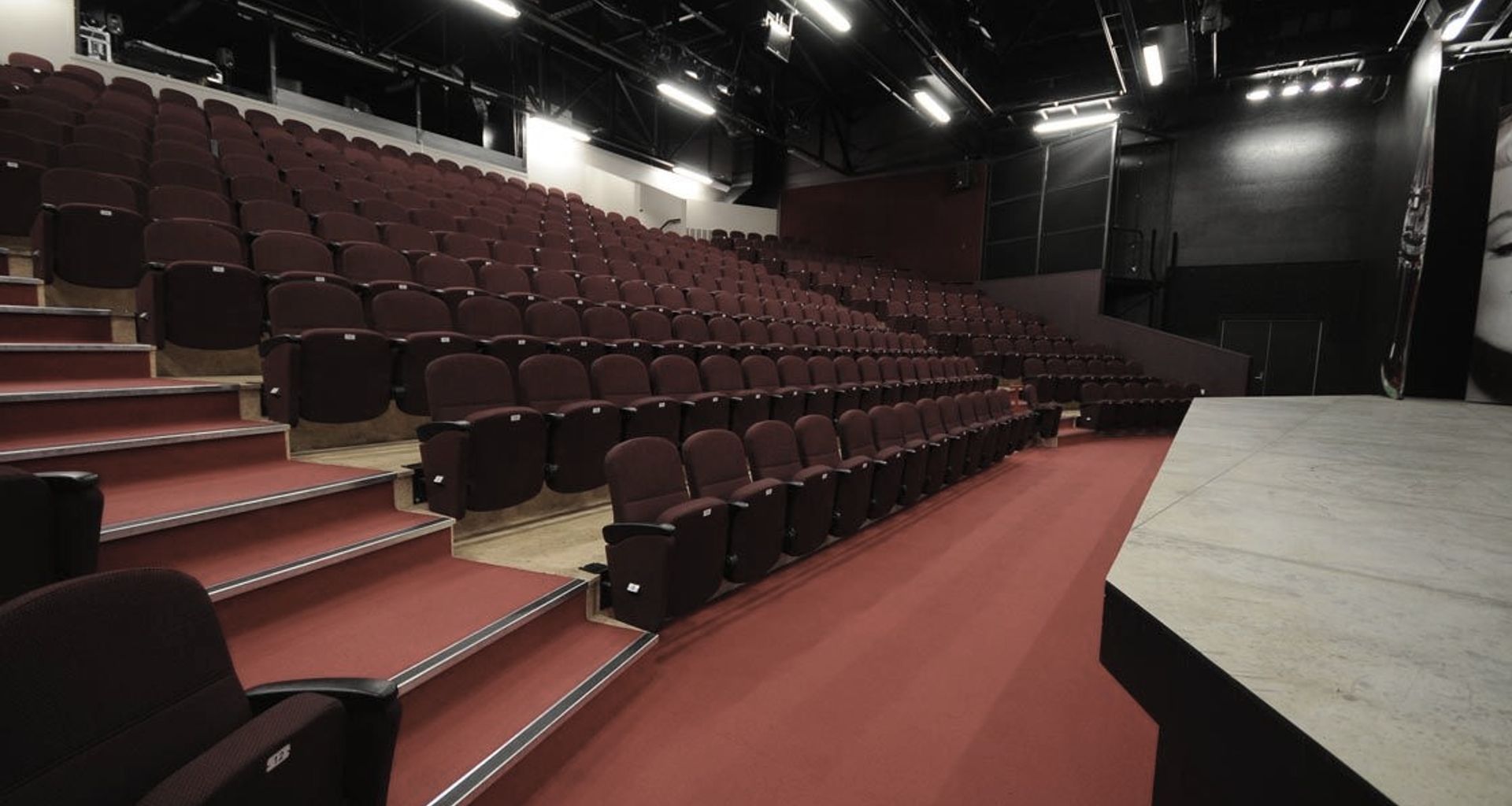 Court Theatre banner