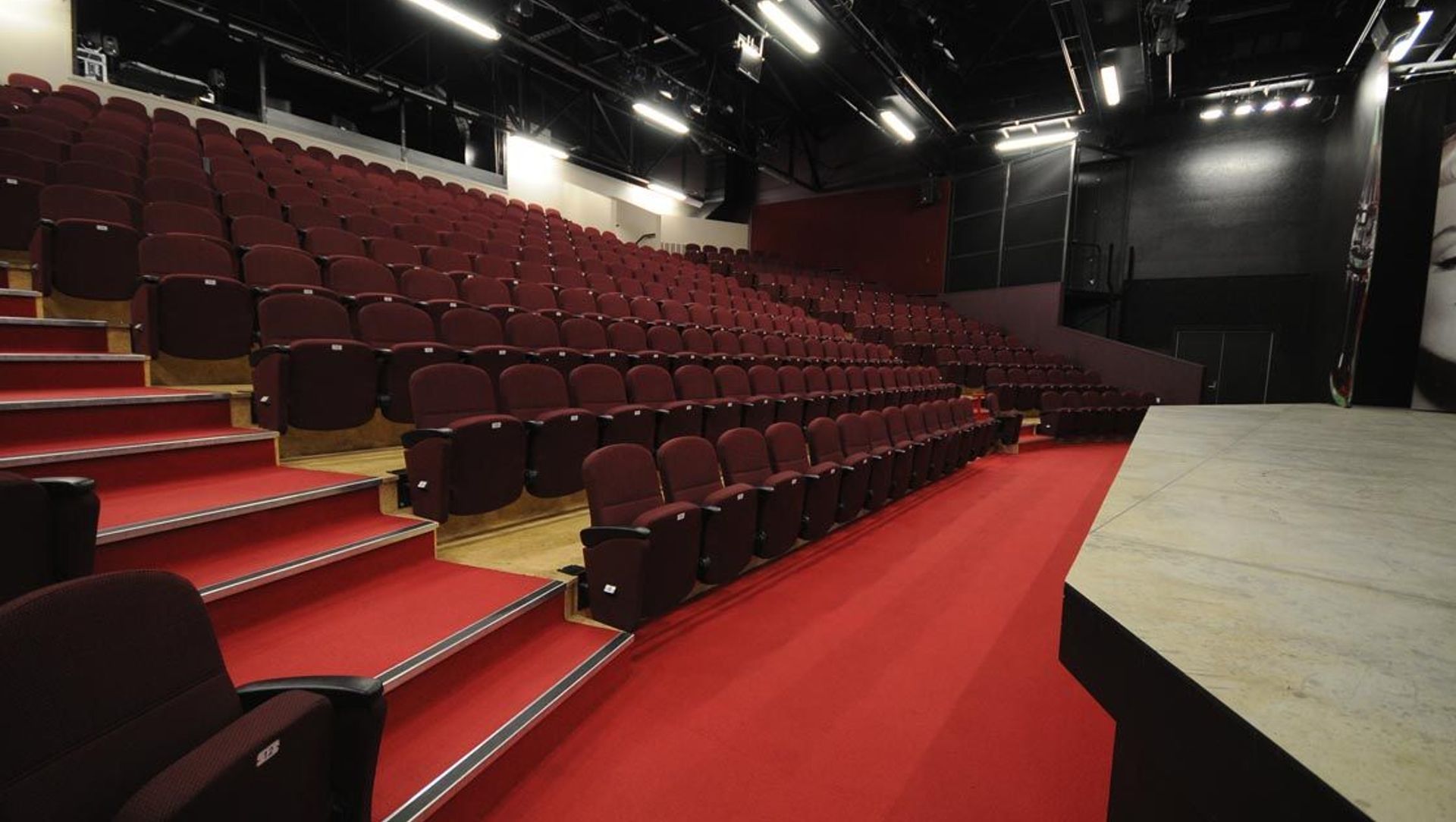 Court Theatre banner