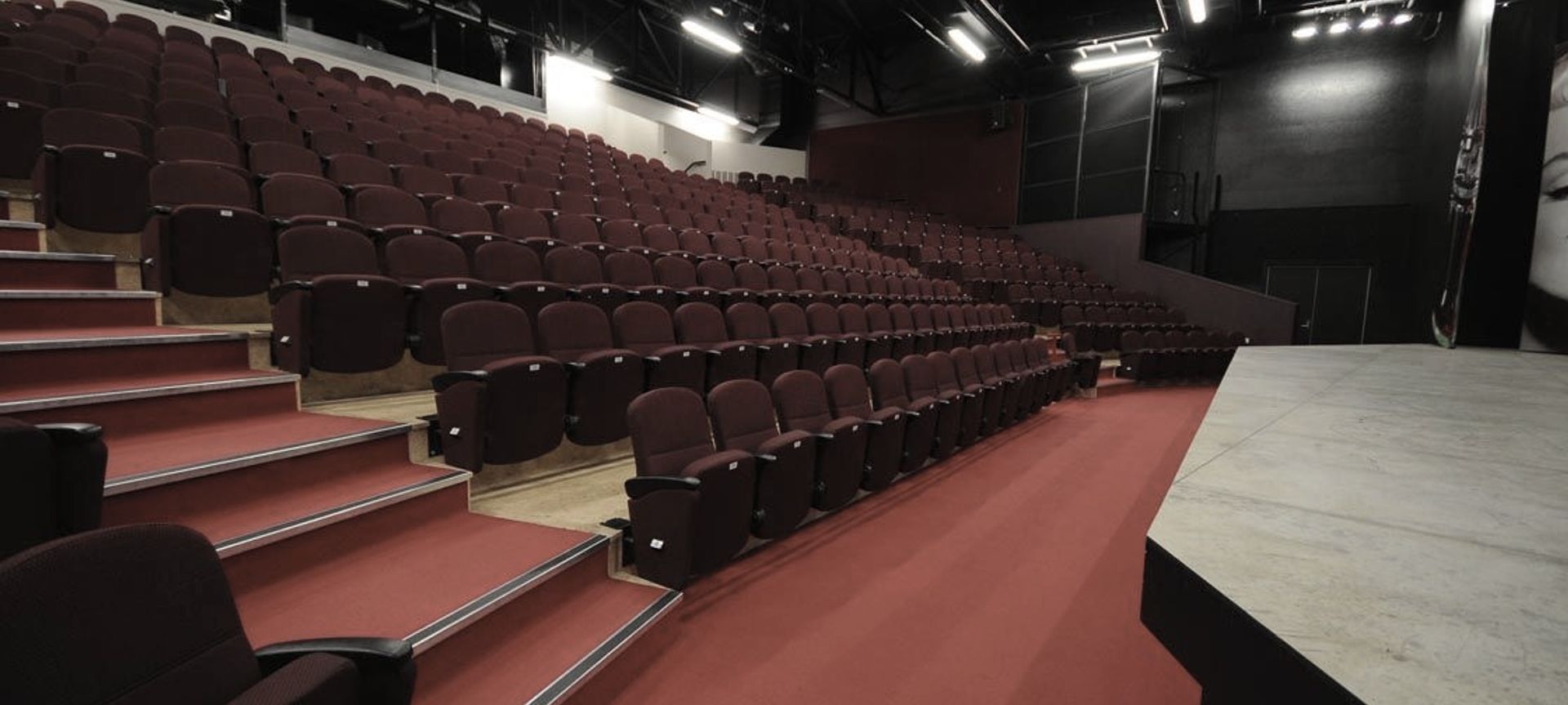 Court Theatre banner