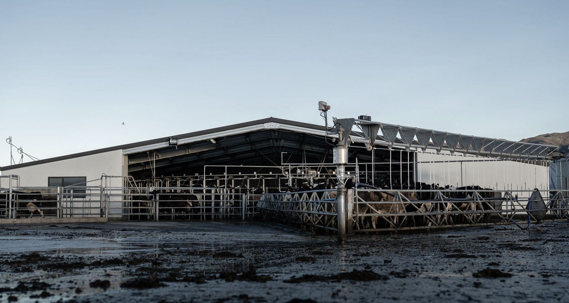Cowshed, Christchurch banner