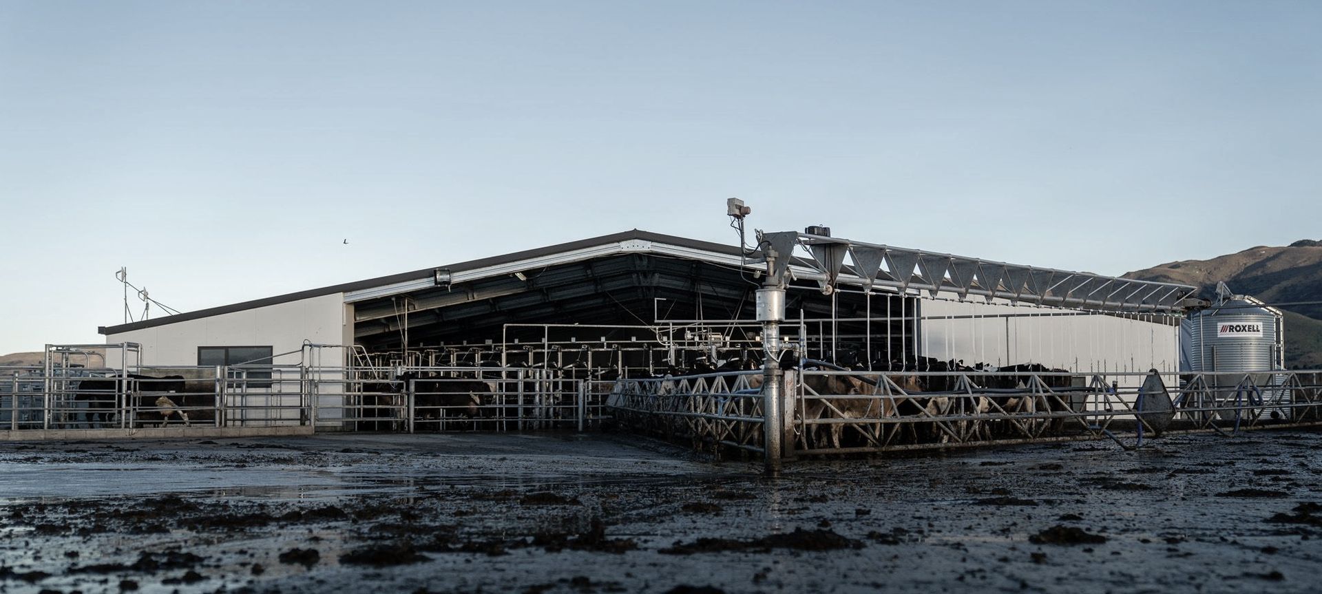 Cowshed, Christchurch banner