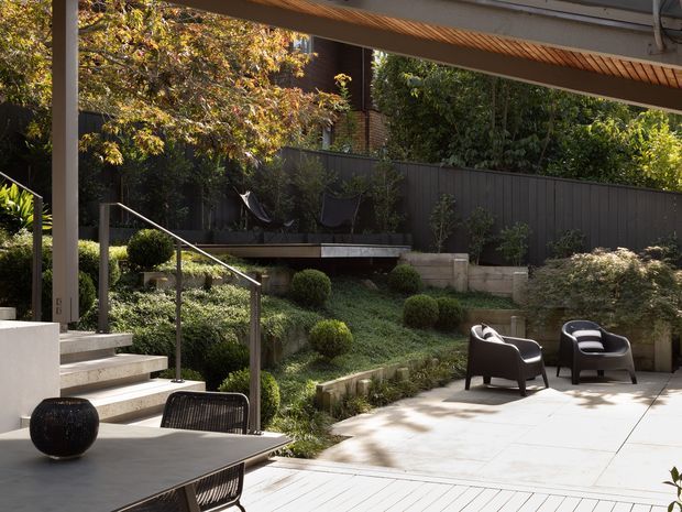 A landscaped outdoor terrace and courtyard viewed from a covered patio. Large pale stone or concrete paving defines the seating area, with dark contemporary lounge chairs and a dining table in the foreground. Steps with a slim metal handrail lead through layered planting and clipped shrubs to a raised garden level, bordered by dark vertical fencing and mature greenery. The scene has a refined contemporary residential character with strong indoor-outdoor connection.