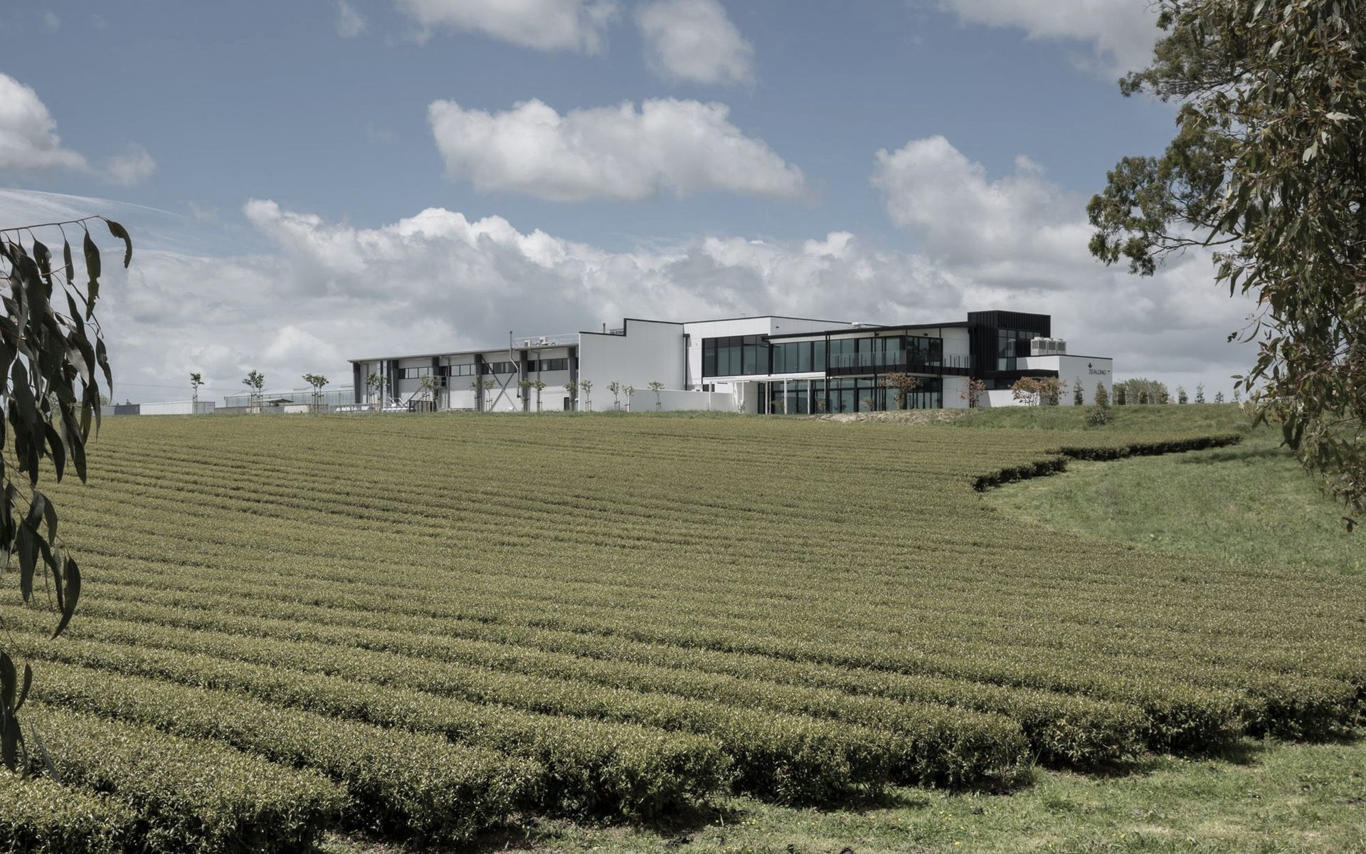 Supporting Image 1 for DLA Architects