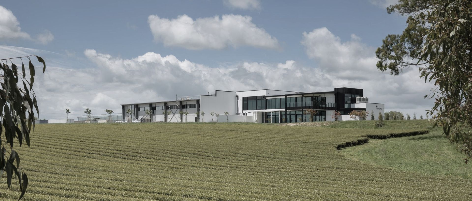 Hero Banner for DLA Architects
