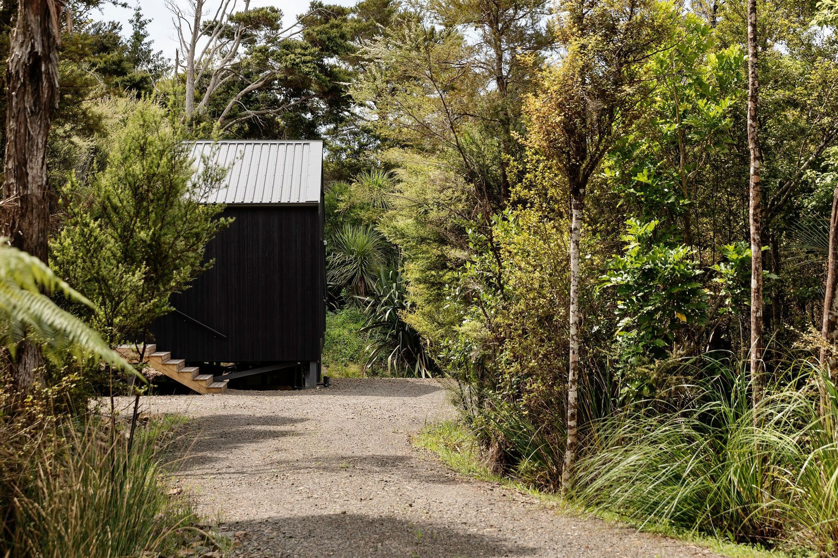 Dense native bush is the defining factor of this site and home, which was designed as a structure from which to move through, between bush and sea. 