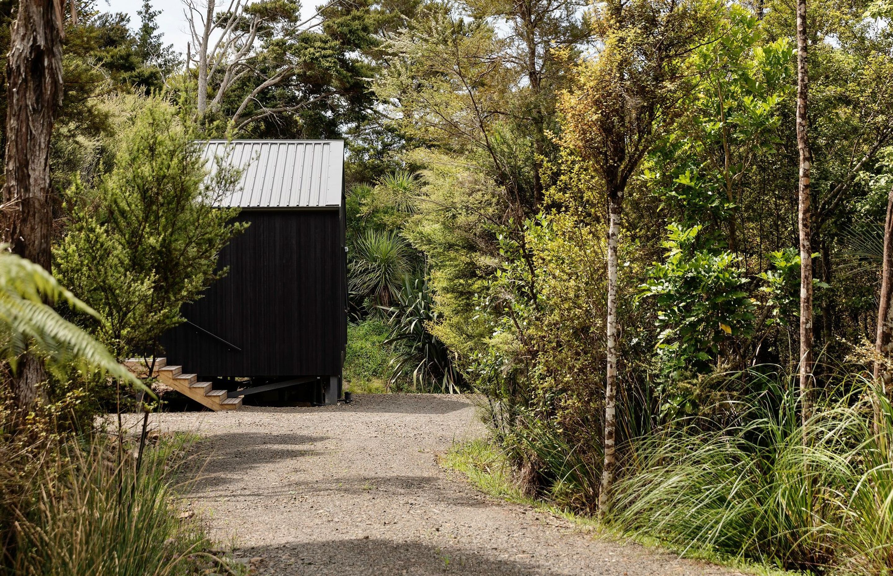 Dense native bush is the defining factor of this site and home, which was designed as a structure from which to move through, between bush and sea. 
