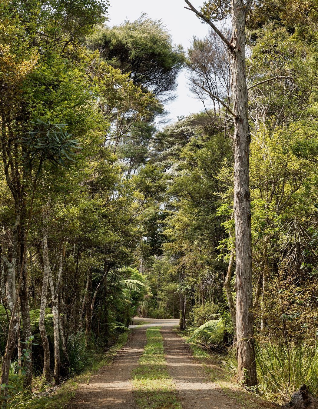 Accessed by way of a long, winding driveway off which 11 homes are located, none are visible allowing for a sense of privacy for each. 