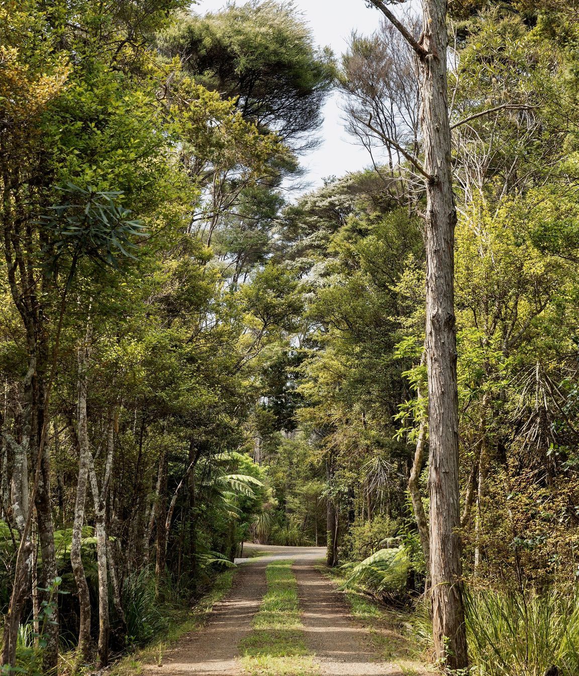 Accessed by way of a long, winding driveway off which 11 homes are located, none are visible allowing for a sense of privacy for each. 