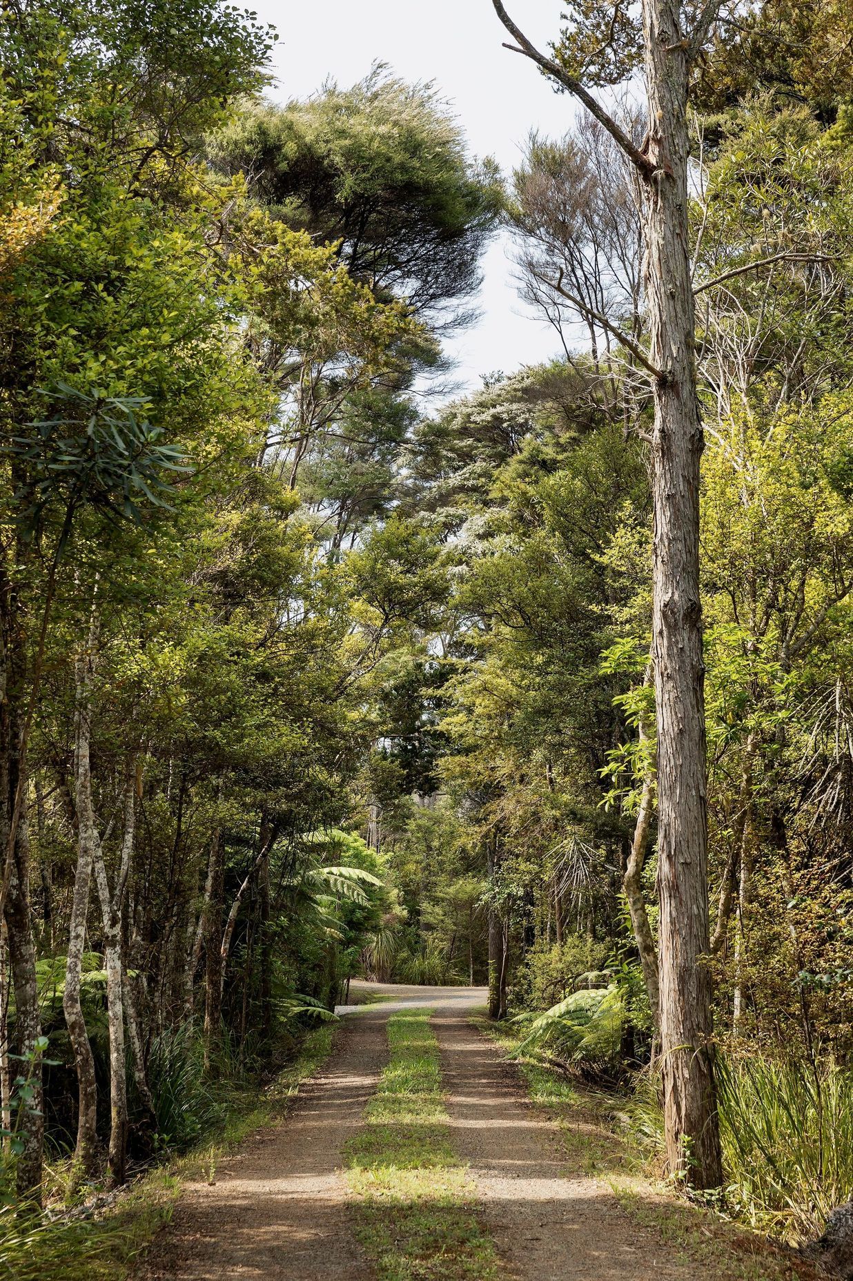 Accessed by way of a long, winding driveway off which 11 homes are located, none are visible allowing for a sense of privacy for each.