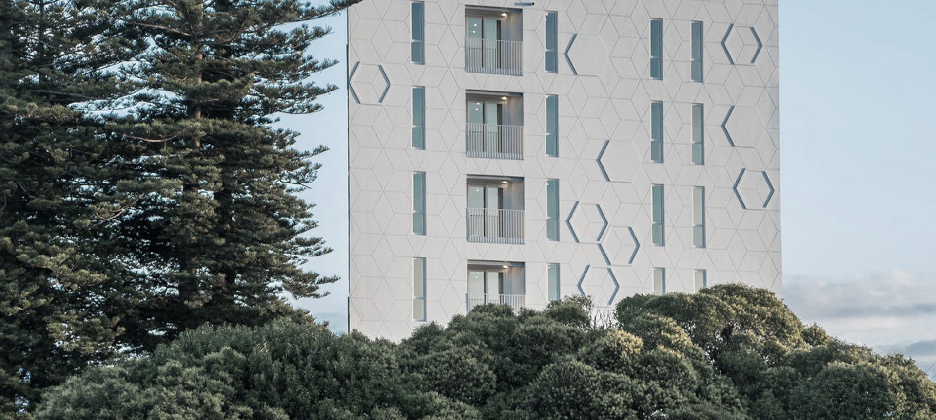 Daisy Apartment Complex banner