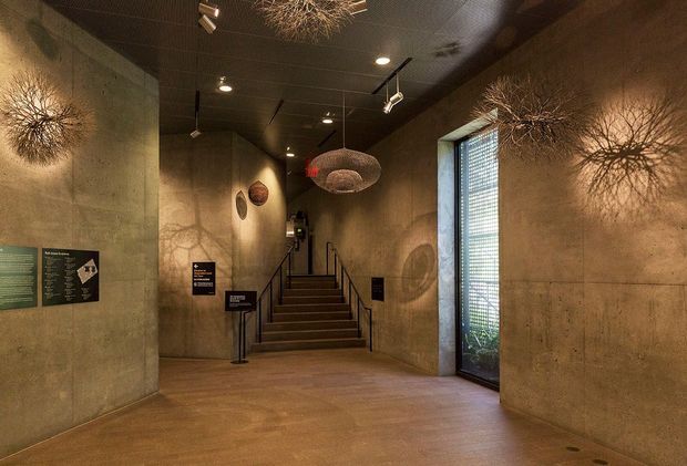 A dimly lit, gallery-like concrete entry hall with broad staircases, exposed smooth concrete walls and flooring, a dark grid ceiling with track lighting, sculptural pendant and wall lights, interpretive signage, and a tall glazed doorway with blinds. The space has a warm, dramatic, raw-material character.