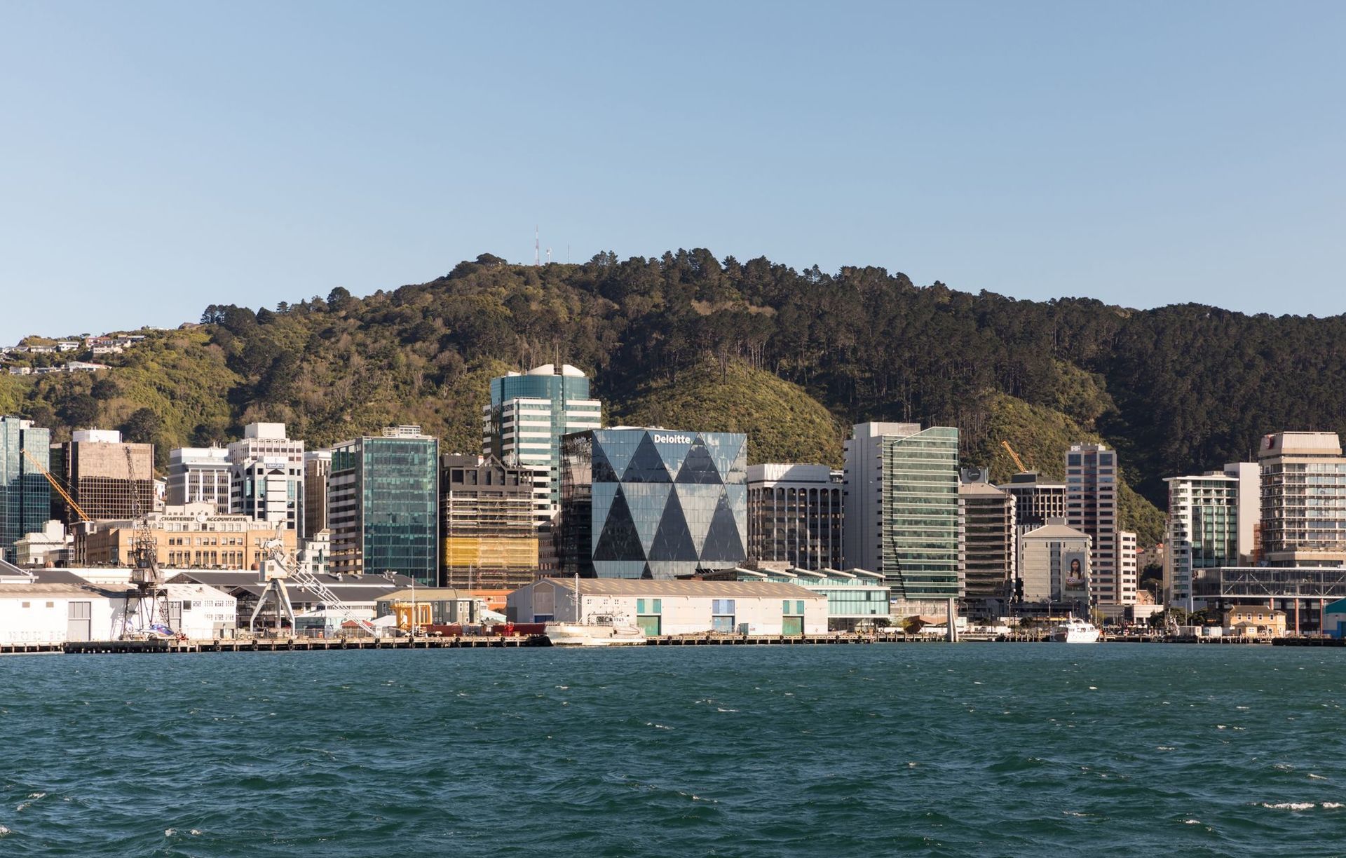 Deloitte Wellington by Studio Pacific Architecture