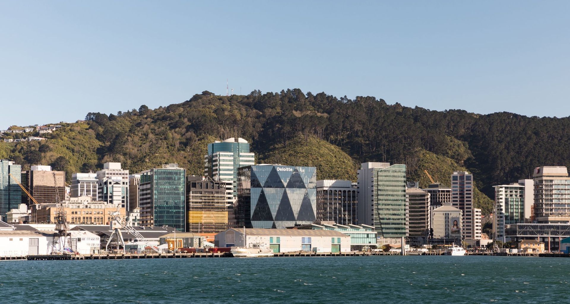 Deloitte Wellington by Studio Pacific Architecture banner