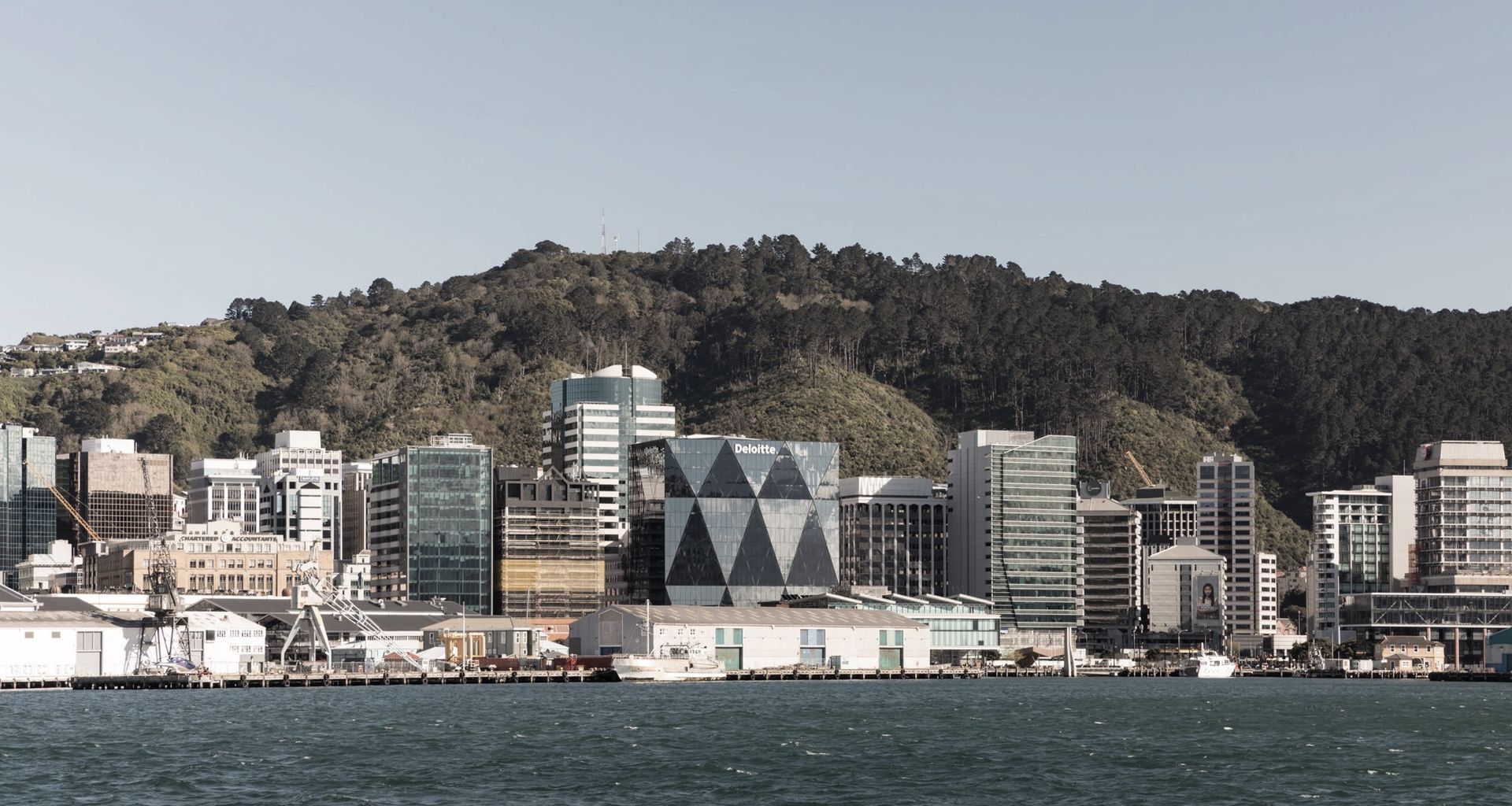 Deloitte Wellington by Studio Pacific Architecture banner