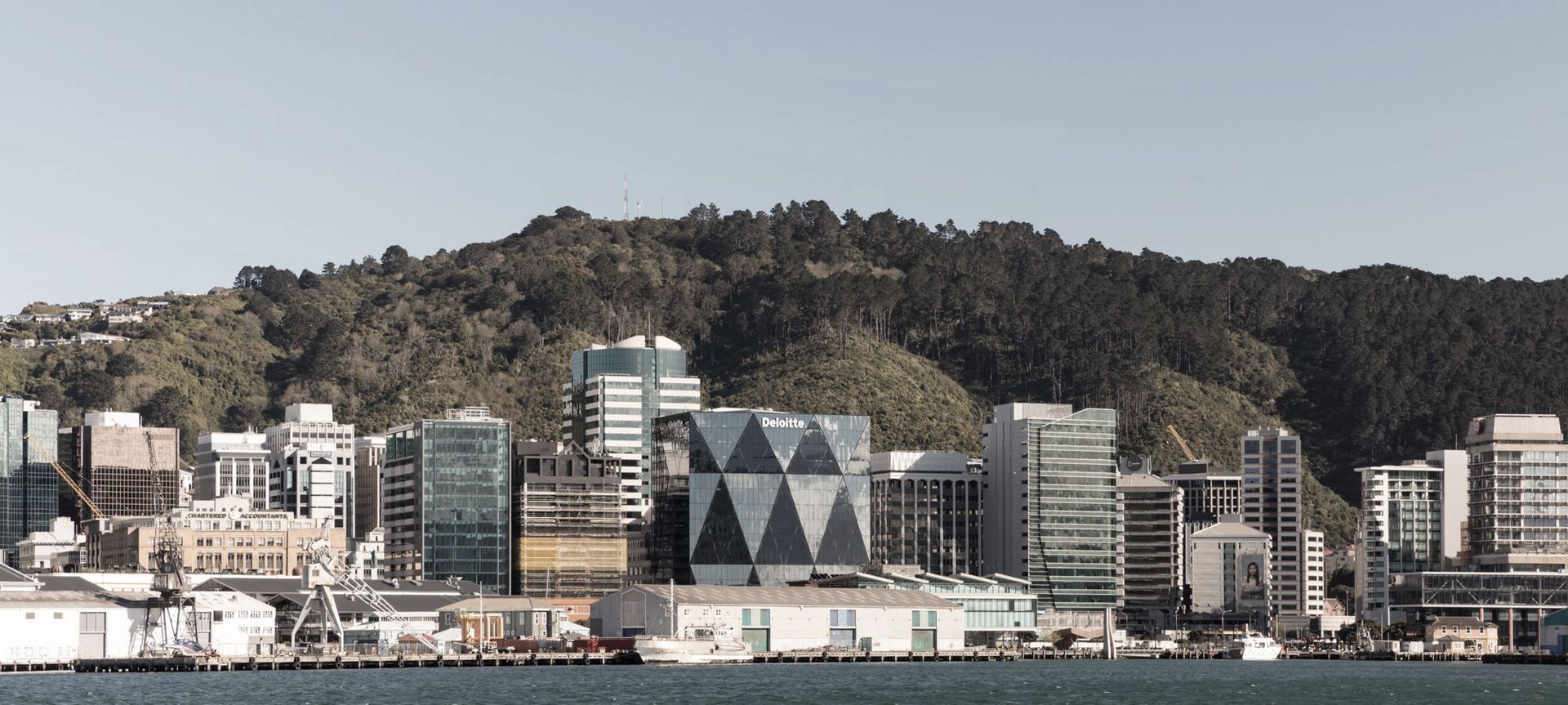 Deloitte Wellington by Studio Pacific Architecture banner