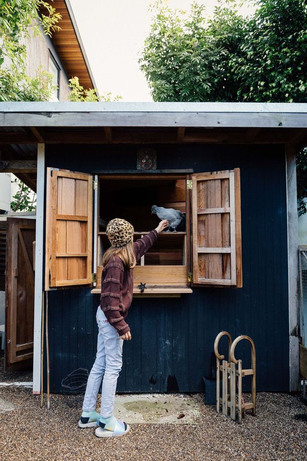 A small outdoor chicken coop with dark painted timber walls, a broad timber roof, and open natural timber shutters revealing nesting shelves. A child is interacting with a chicken at the coop window. The structure sits in a landscaped backyard area with trees and gravel ground.