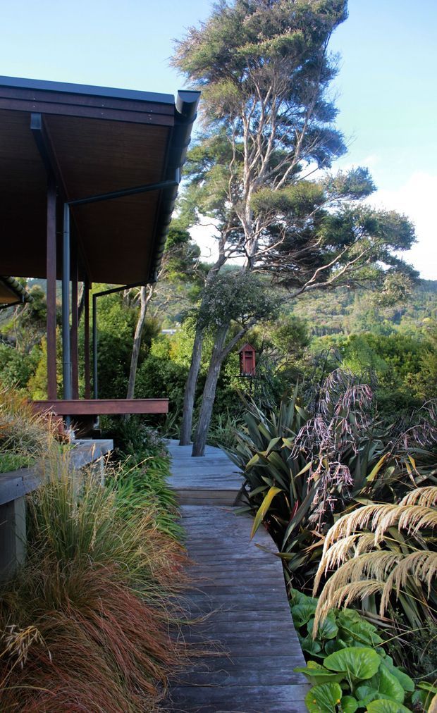 A narrow timber boardwalk winds through dense native-style planting beside a raised contemporary building. The building has dark timber soffits and cladding, slender dark structural posts, a projecting roof with exposed guttering, and a simple elevated deck or balcony. The landscaped setting features mature trees, grasses, flax-like foliage and lush planting, creating a secluded garden connection.