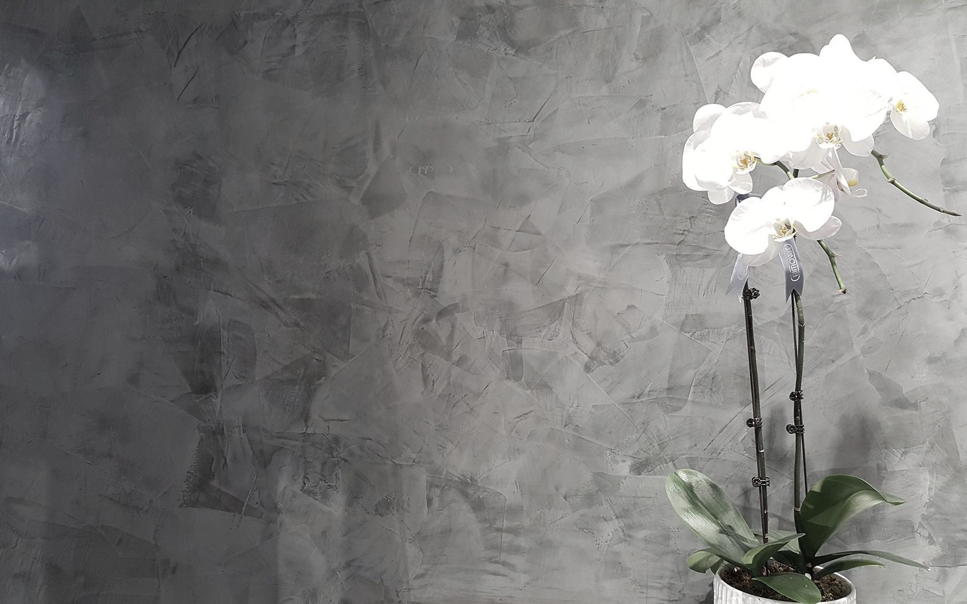 Hero Banner for Dowd Concrete + Plaster