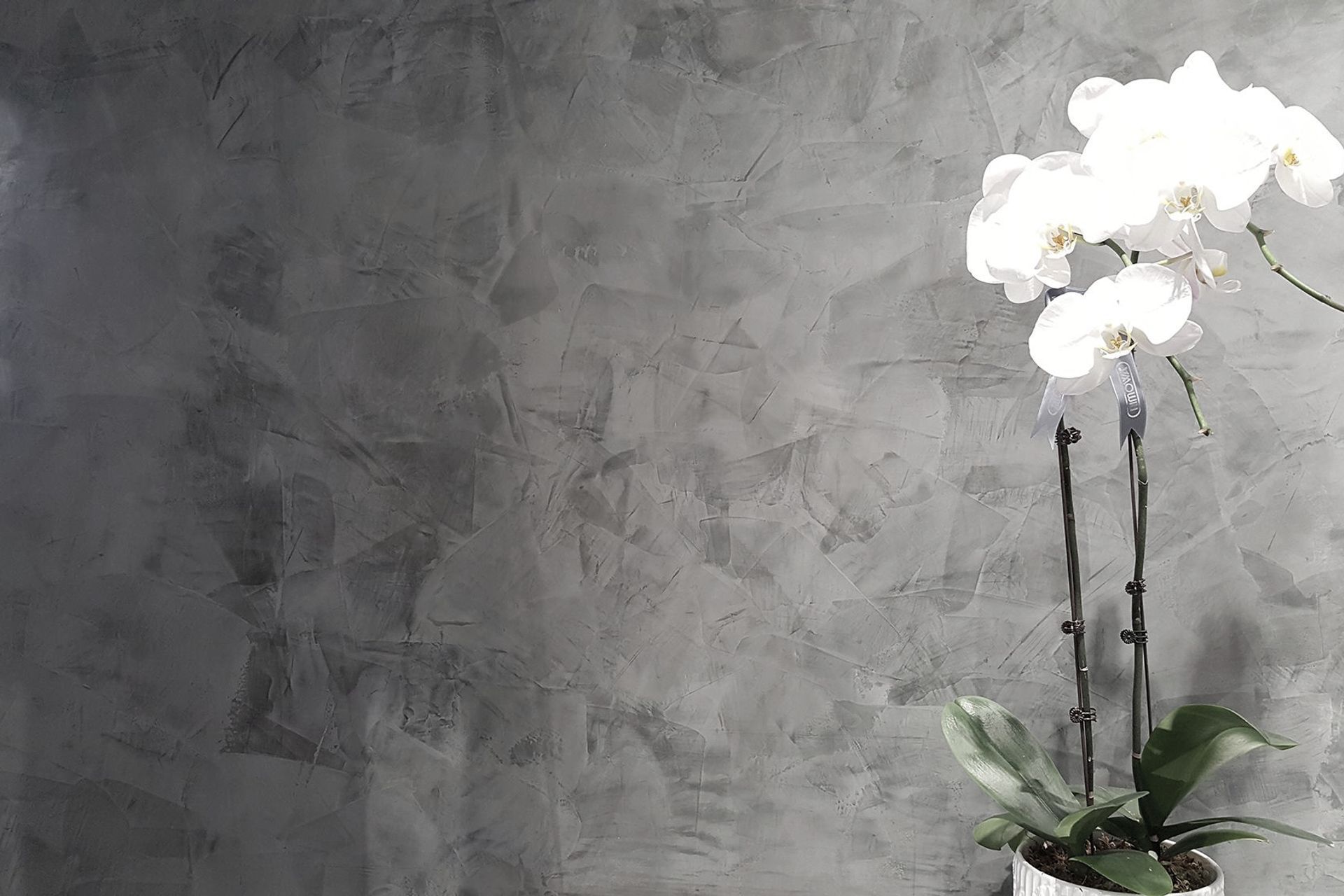 Dowd Concrete + Plaster banner