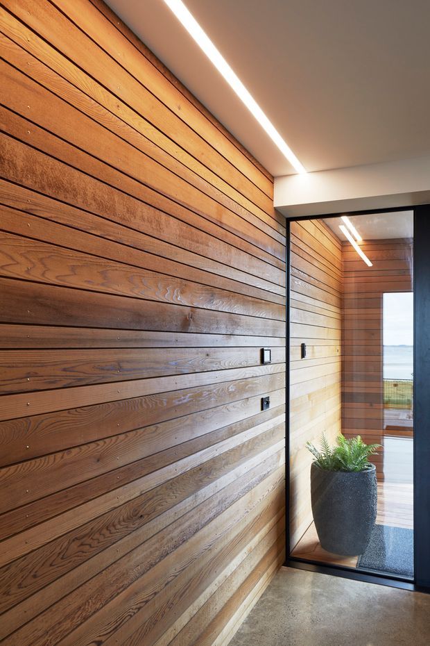 Contemporary interior passage featuring a full-height wall clad in horizontal dark timber boards, a polished concrete floor, black-framed glazed doorway, and a linear recessed ceiling light. A potted fern is visible beyond the glass, with a glimpse of an exterior or adjacent space.