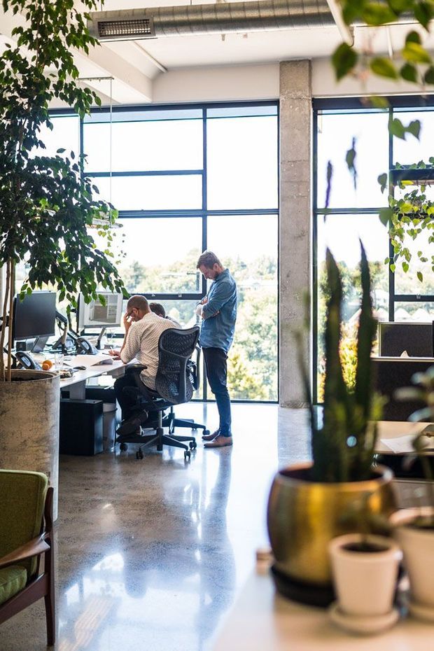 Bright open-plan commercial office interior with floor-to-ceiling industrial-style glazing, exposed concrete columns, polished concrete flooring, visible ductwork, workstations, office chairs, and abundant indoor plants. Two people are collaborating at a desk, while the foreground includes blurred office planting and furniture. The space has a high ceiling and a light-filled, contemporary workplace atmosphere.