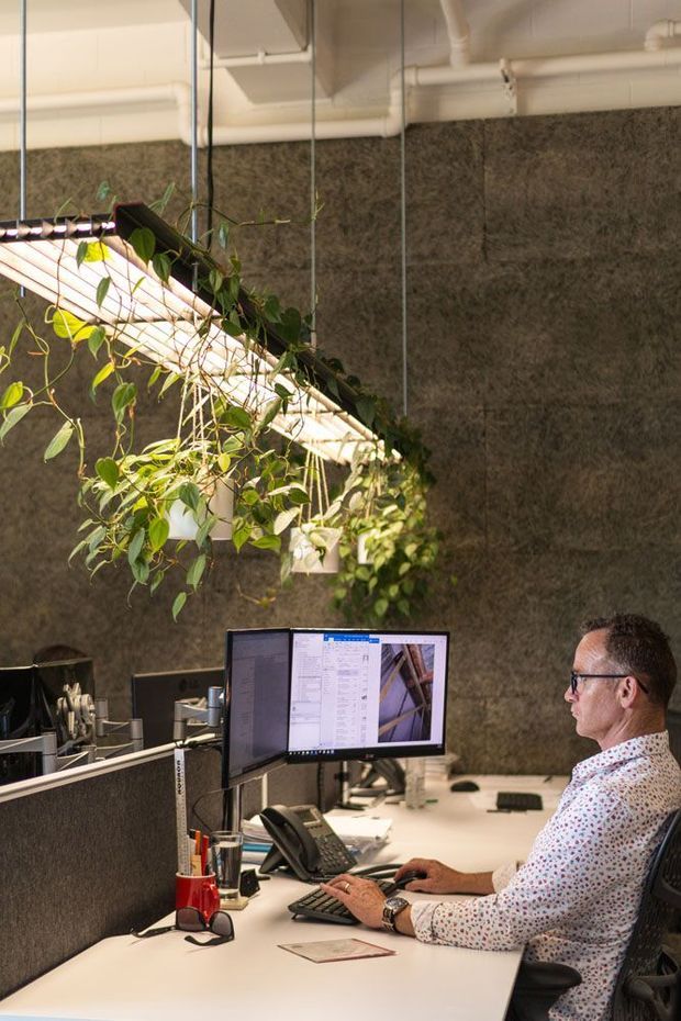A contemporary open-plan office workstation with a seated employee working at dual monitors. White desks and exposed white ceiling services contrast with dark textured acoustic partition walls. A large suspended linear light is decorated with trailing greenery, creating an industrial yet softened workplace atmosphere.