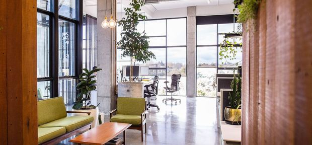 A bright contemporary office interior with polished concrete floors, exposed concrete columns, large black-framed floor-to-ceiling windows, and an open workspace beyond a casual lounge area. The foreground includes an olive-green sofa and armchair, a timber coffee table, indoor plants, pendant lights, and timber wall panelling. City and landscape views are visible through the glazing.