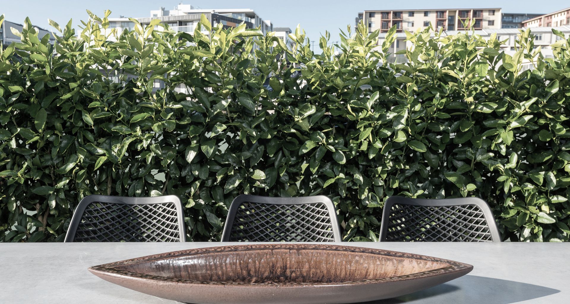 Eden Terrace Rooftop Garden banner