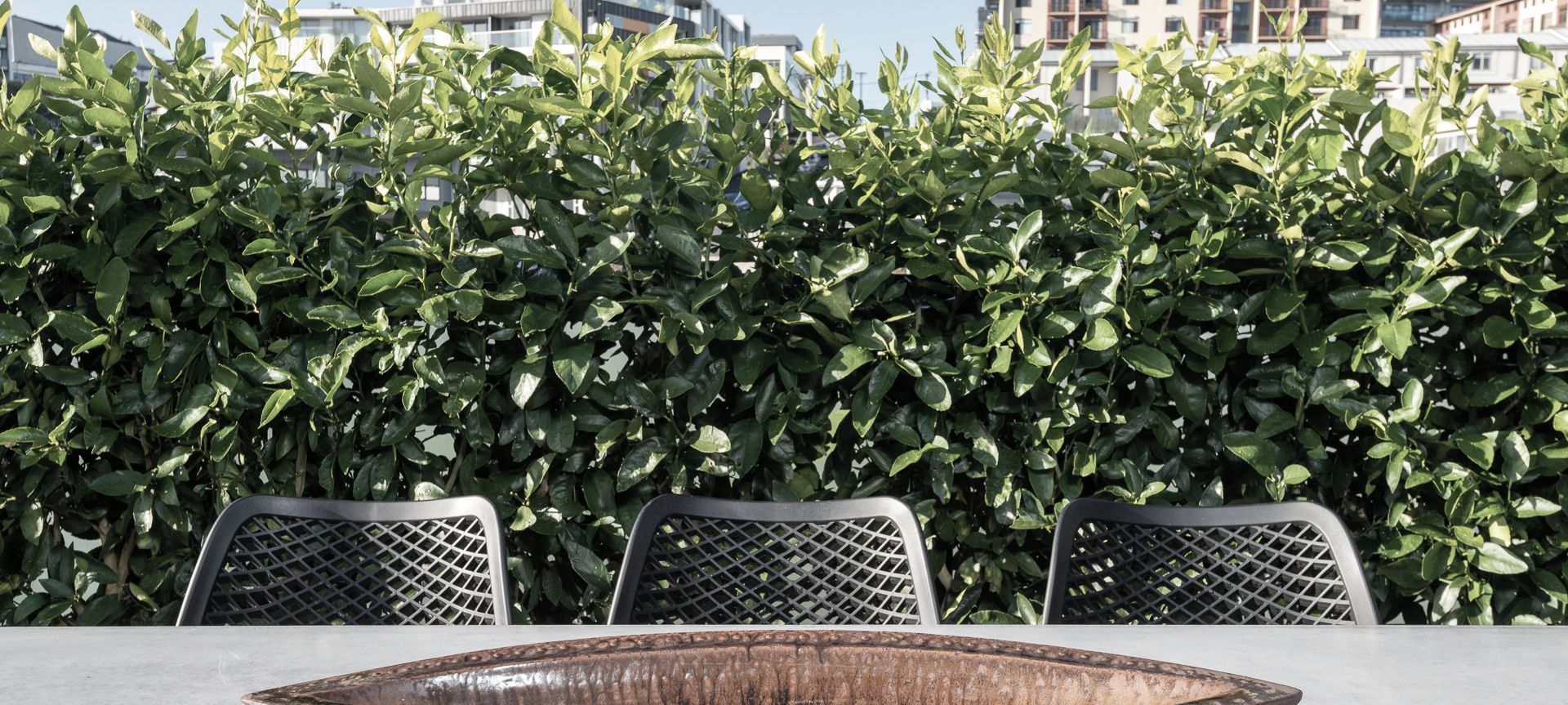 Eden Terrace Rooftop Garden banner