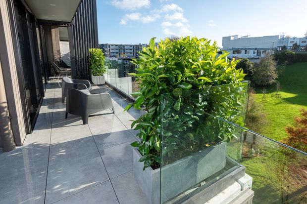 A sunny apartment balcony or terrace with large grey tiled paving, dark-framed glazed doors, a glass balustrade, and outdoor lounge chairs. A substantial raised planter filled with dense green foliage forms a privacy screen, overlooking a landscaped communal lawn and neighbouring apartment buildings.