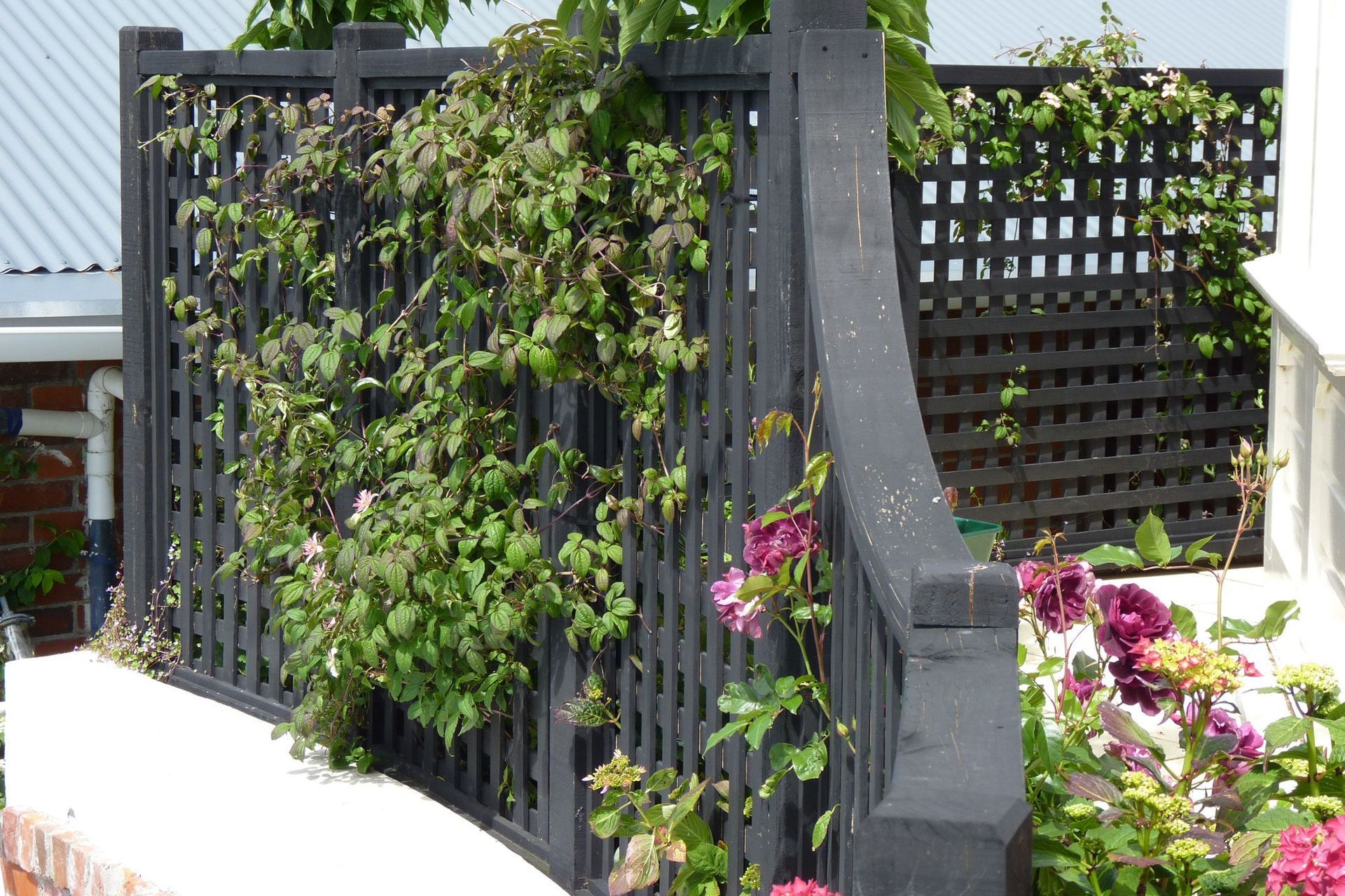 New curved black trellis fencing