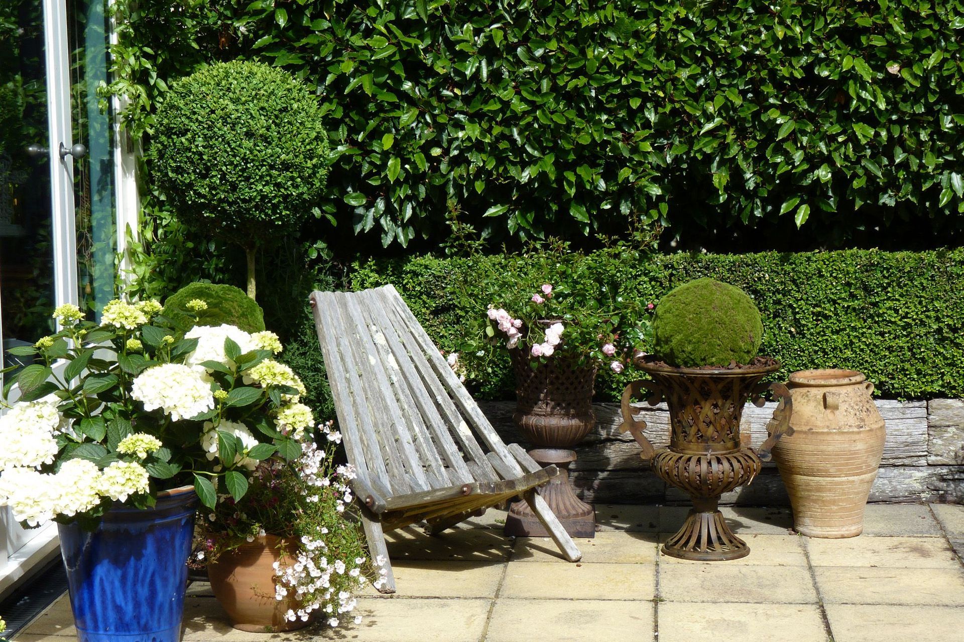 Topiaries & hydrangeas in pots