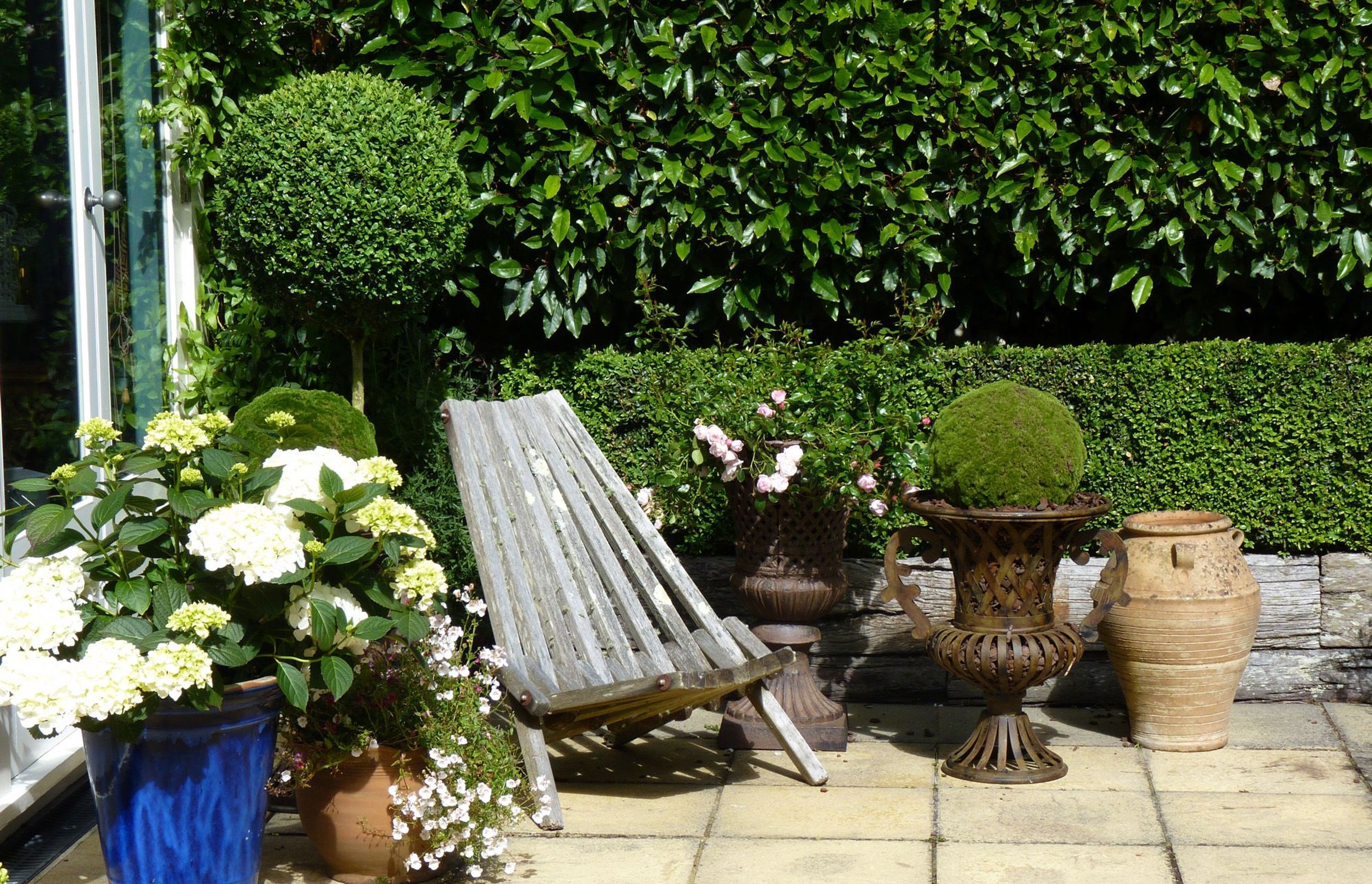 Topiaries & hydrangeas in pots