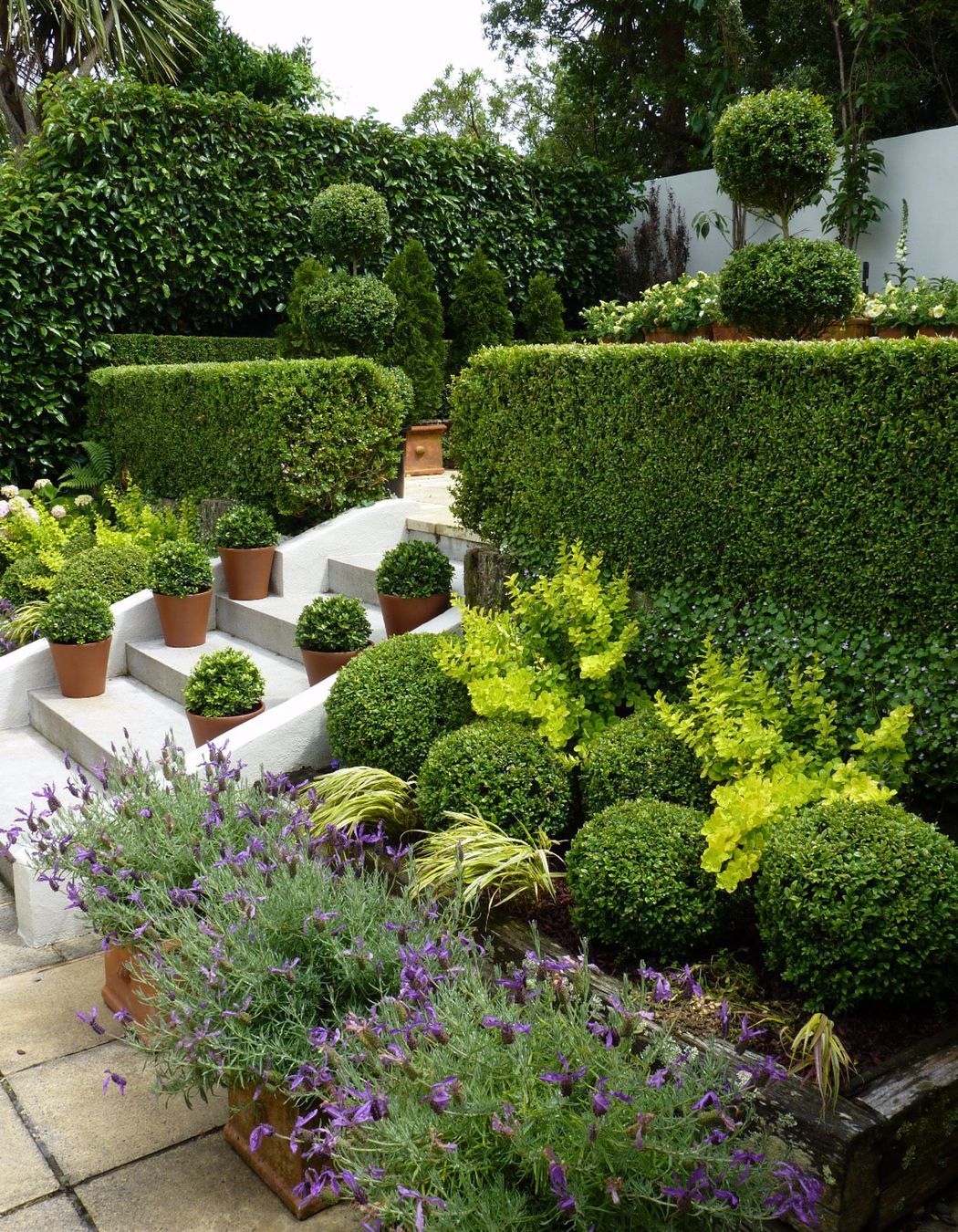 Layers of interest - hedges, pots, balls, pots, foliage & flowers