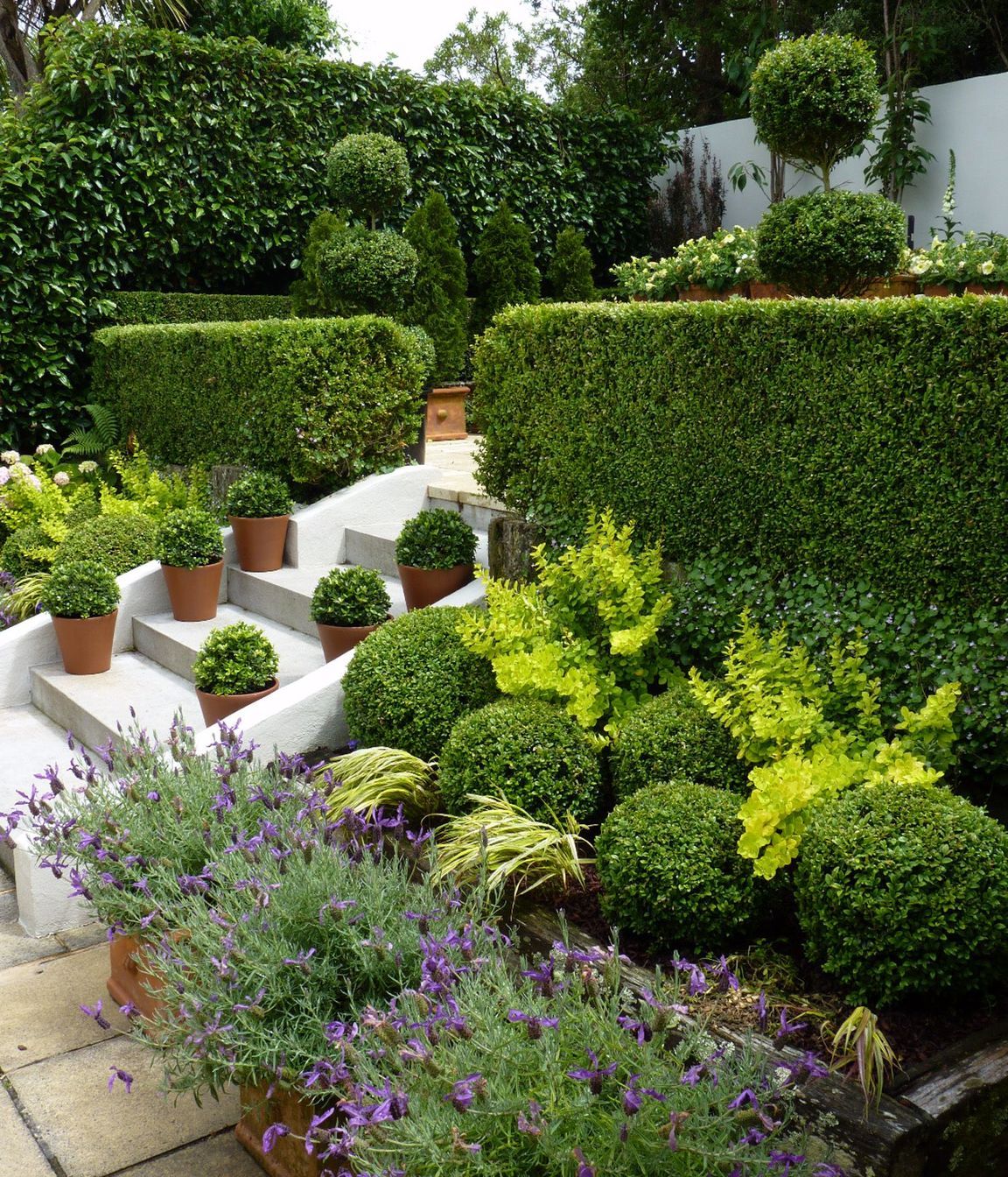 Layers of interest - hedges, pots, balls, pots, foliage &amp; flowers