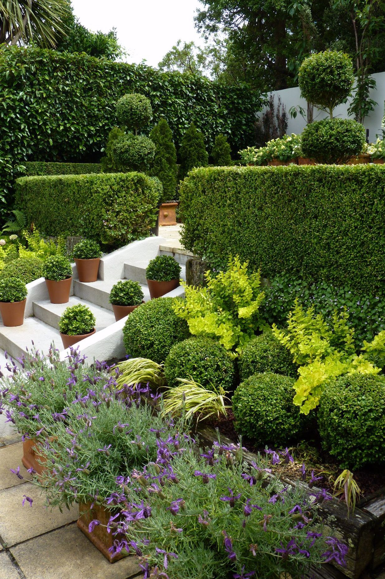 Layers of interest - hedges, pots, balls, pots, foliage &amp; flowers