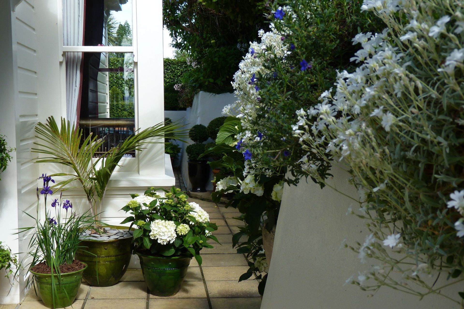 Marking the front entrance with pots