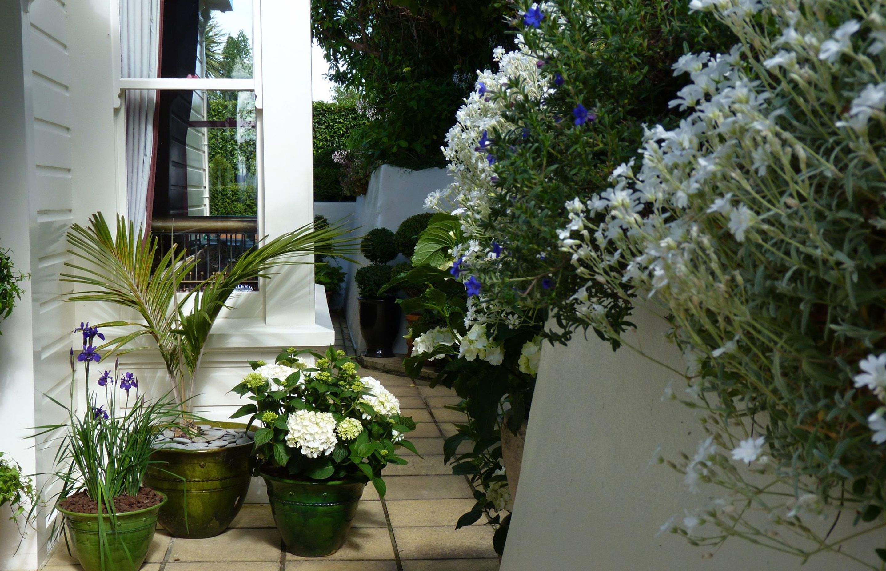 Marking the front entrance with pots