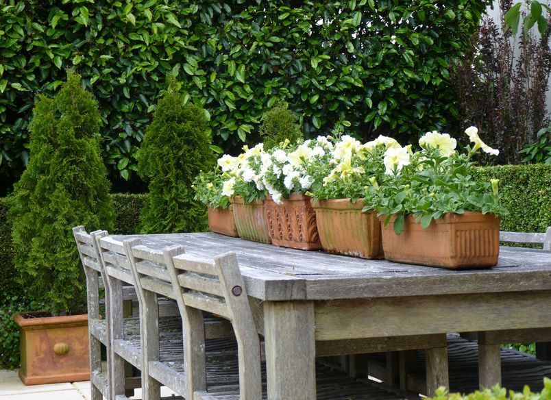 Central Tce: elegant garden