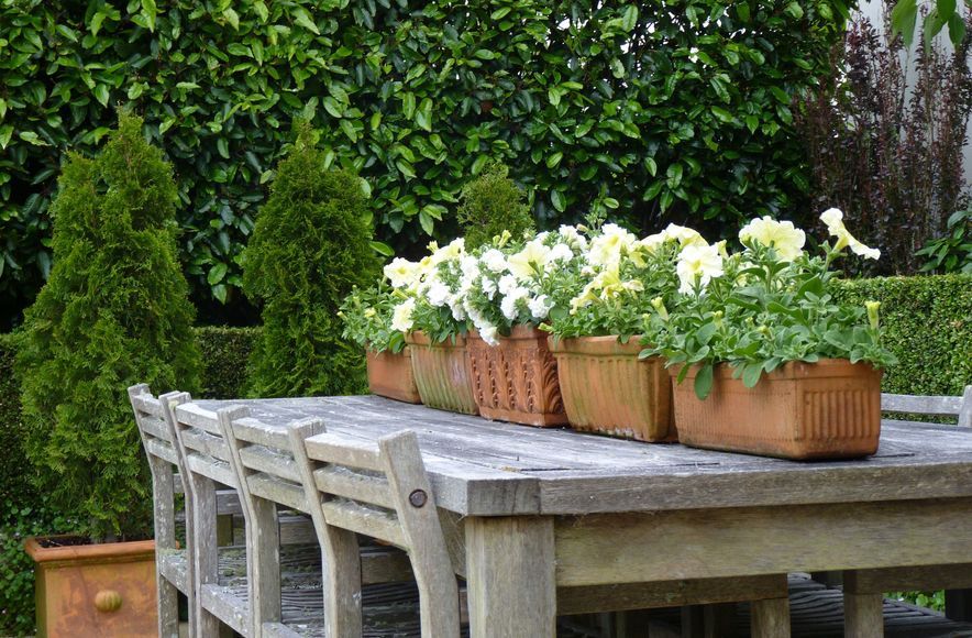 Central Tce: elegant garden