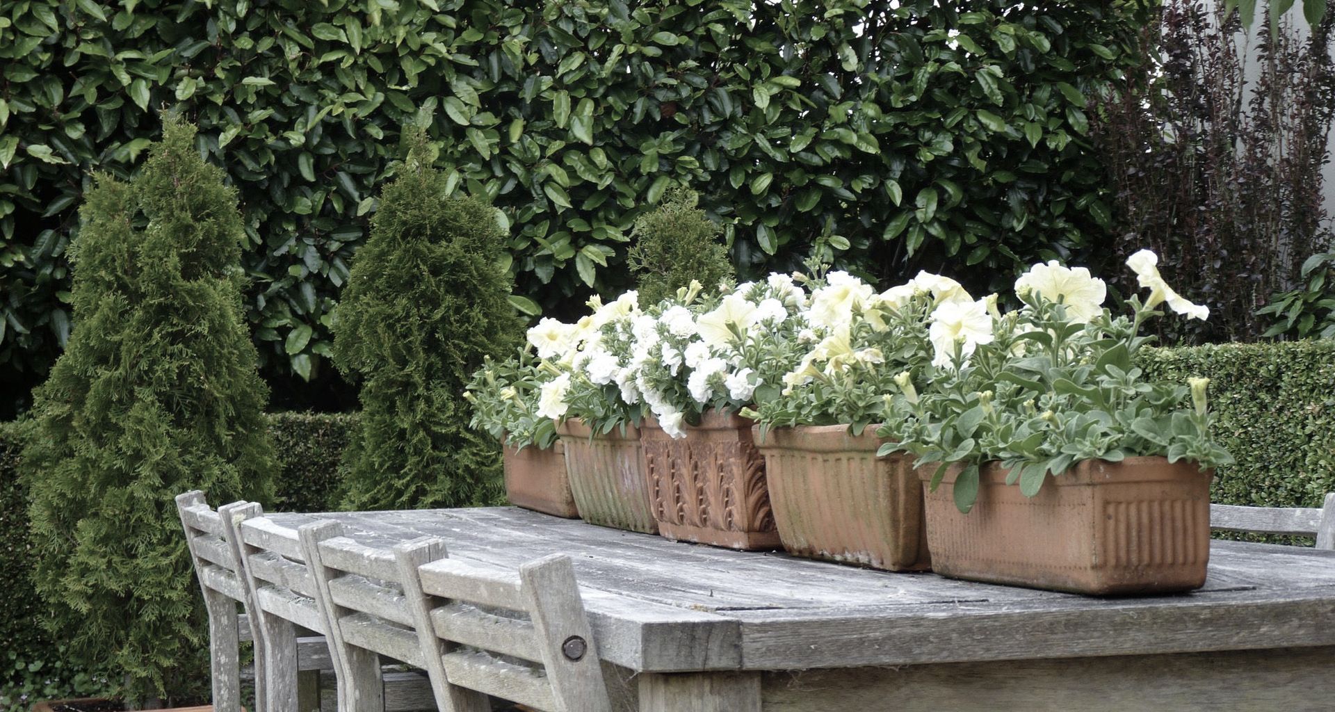 Central Tce: elegant garden banner