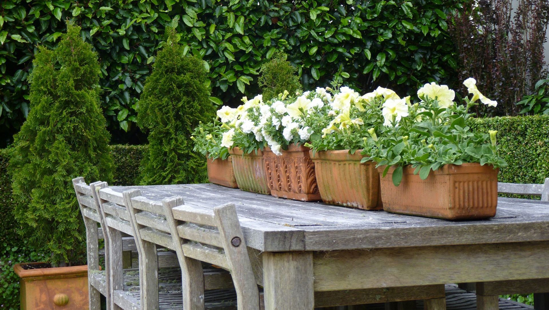 Central Tce: elegant garden banner