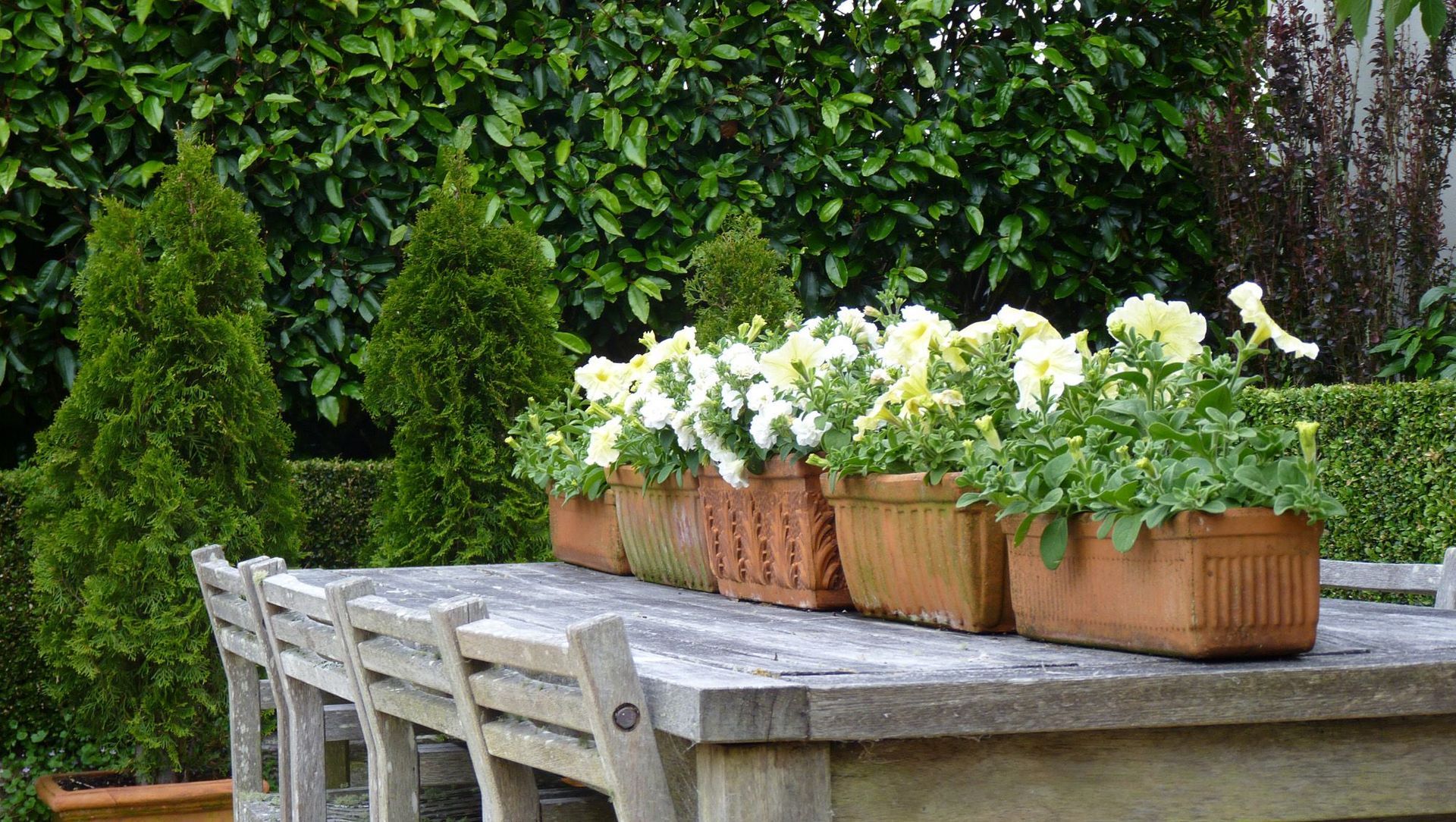 Central Tce: elegant garden banner